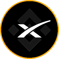 SpaceX logo